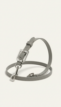 Leash